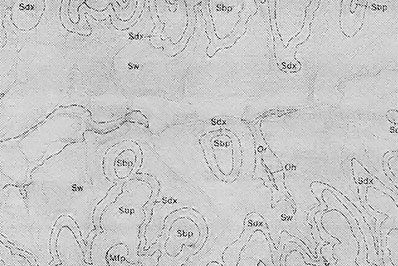 
A geologic map features topographic contour lines and elevation markings plus a system of dotted lines and letter symbols to represent the area's rock formations.
